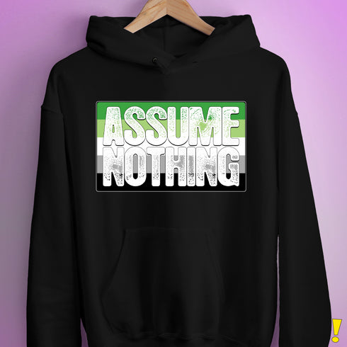Assume Nothing Aromantic Pride Flag Hoodie - Black